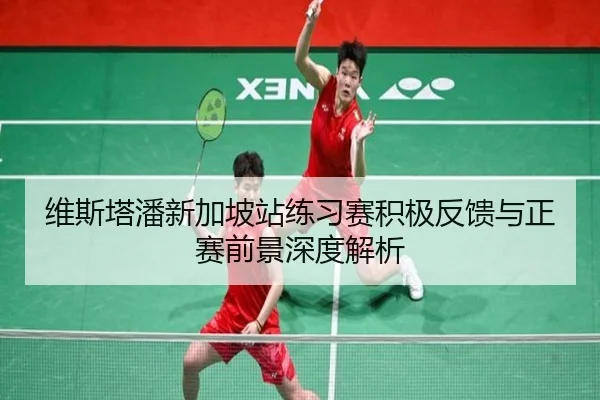 维斯塔潘新加坡站练习赛积极反馈与正赛前景深度解析